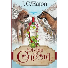 Divide and Concord - Paperback