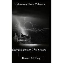 Secrets Under the Stairs - Hardcover