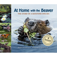 At Home with the Beaver: A Story of a Keystone Species - Paperback