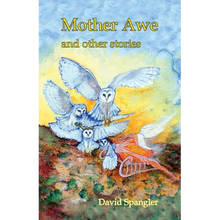 Mother Awe and Other Stories - Paperback