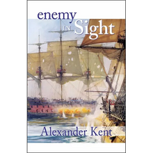 Enemy in Sight! - Paperback
