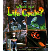 What Is a Life Cycle?