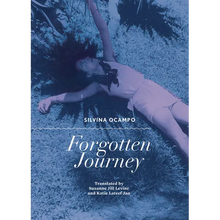 Forgotten Journey - Paperback