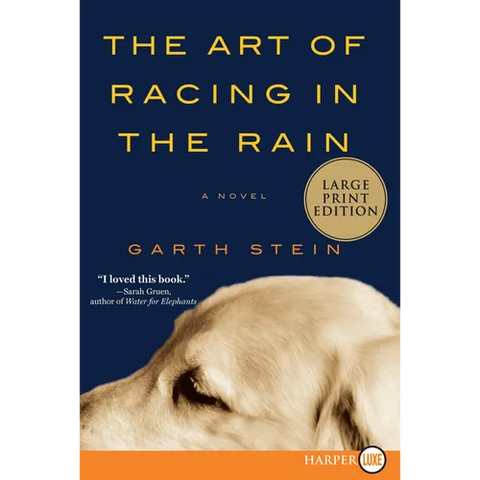 The Art of Racing in the Rain