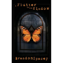 A Flutter in the Window - Paperback