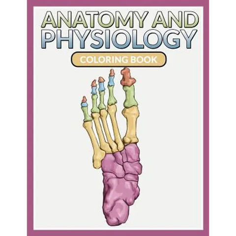 Anatomy And Physiology Coloring Book