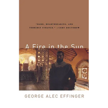 A Fire in the Sun - Paperback