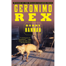 Geronimo Rex - Paperback