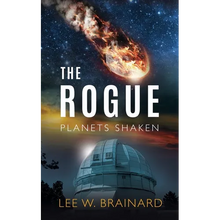 The Rogue - Paperback