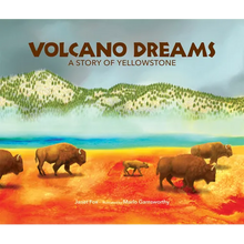 Volcano Dreams: A Story of Yellowstone - Paperback