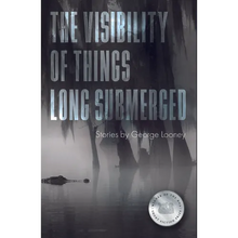 The Visibility of Things Long Submerged - Paperback