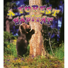 A Forest Habitat