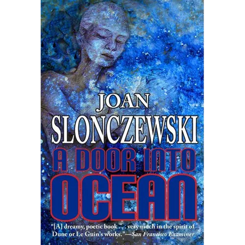 A Door Into Ocean