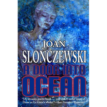 A Door Into Ocean