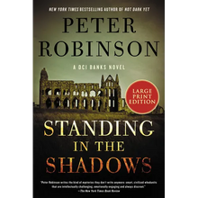 Standing in the Shadows - Paperback