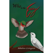 Who is the Enemy