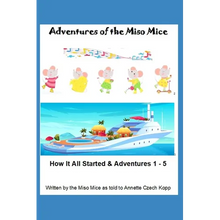 Adventures of the Miso Mice