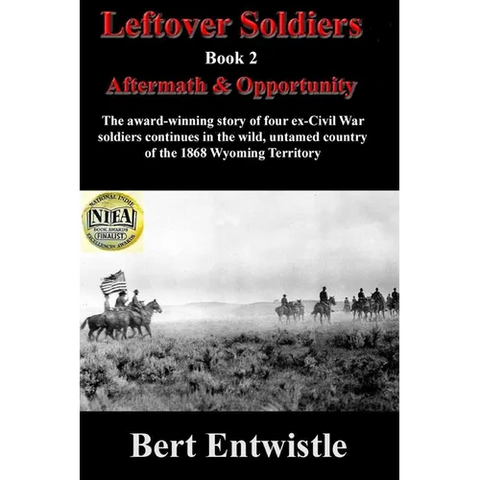 Leftover Soldiers Book 2: Aftermath & Opportunity