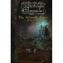 The Wizard's Tower: The Birthright Chronicles - Paperback