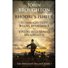 Rhodri's Furies: Ninth-century Welsh Resistance to Viking and Saxon incursions
