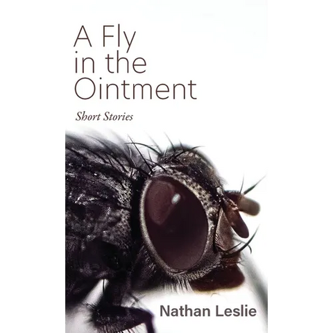 A Fly in the Ointment: Short Stories