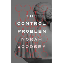 The Control Problem