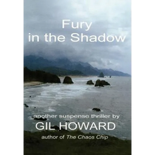 Fury in the Shadow - Hardcover