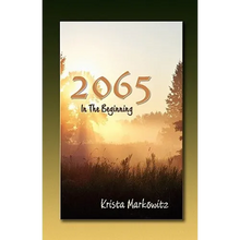 2065 in the Beginning