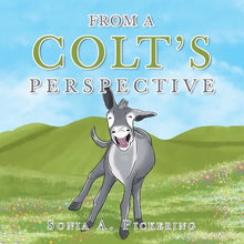 From a Colt's Perspective - Paperback