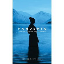 Pandemia: Wading Through The Pandemic - Hardcover