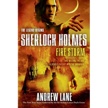 Fire Storm - Paperback