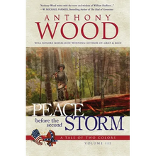 Peace Before the Second Storm: A Story of the Civil War - Paperback