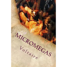 Micromegas - Paperback