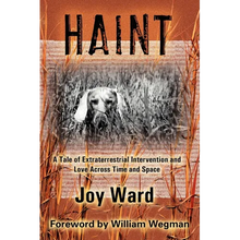 Haint: A Tale of Extraterrestrial Intervention and Love Across Time and Space - Paperback