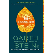A Sudden Light - Paperback