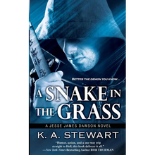 A Snake in the Grass - Paperback