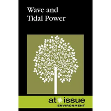 Wave and Tidal Power - Paperback