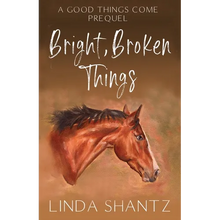 Bright, Broken Things: Good Things Come Book 0.5 (A Prequel) - Paperback