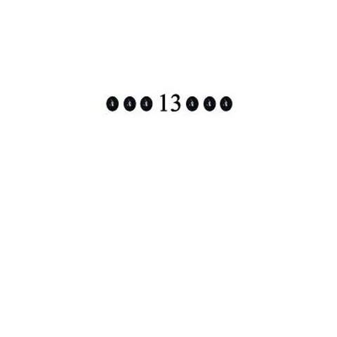 ... 13 ...