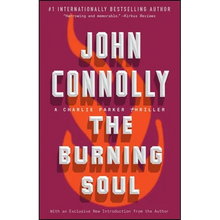 The Burning Soul: A Charlie Parker Thriller