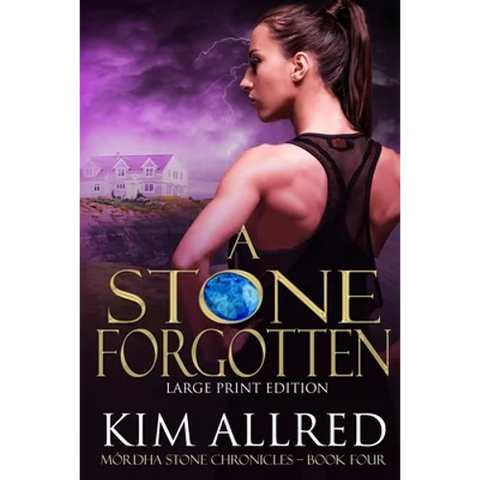 A Stone Forgotten Large Print: Time Travel Adventure Romance