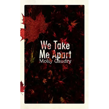 We Take Me Apart - Paperback