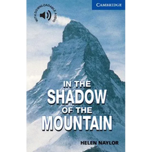 In the Shadow of the Mountain Level 5