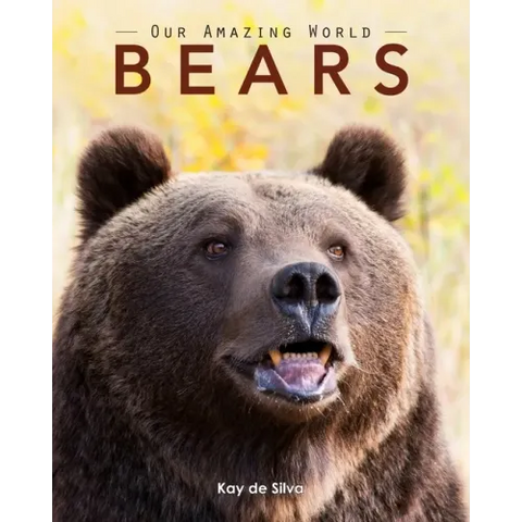 Bears: Amazing Pictures & Fun Facts on Animals in Nature