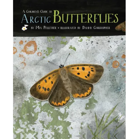A Children's Guide to Arctic Butterflies