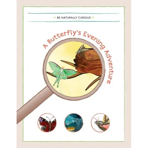 A Butterfly's Evening Adventure