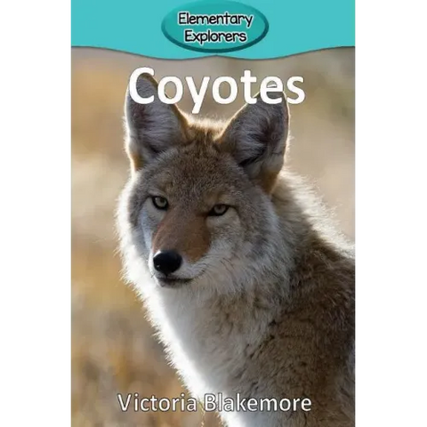 Coyotes