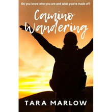 Camino Wandering - Paperback