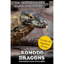 Komodo Dragons: Indonesian Land Crocodiles