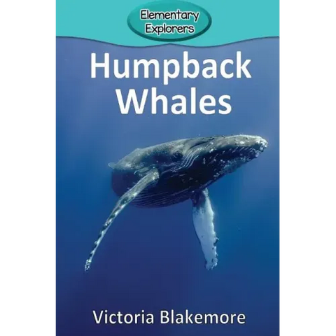 Humpback Whales